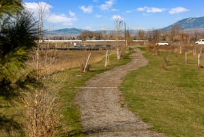 34092674