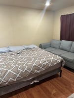 10856291