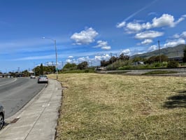 10858651