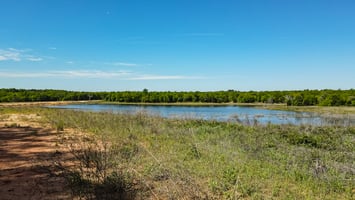 10868779