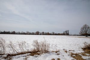29666405