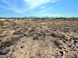 10897411