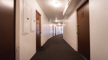 10953654
