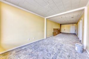 10967681