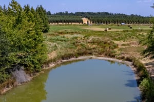 20094619