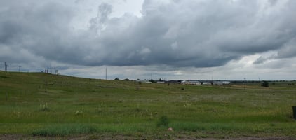 32295829