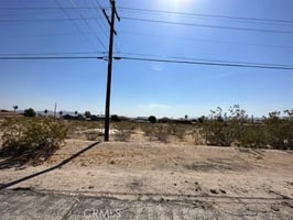 30221642