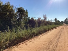 21578711