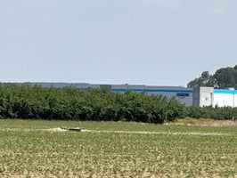 17666854