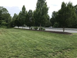 34046510
