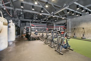 17497637