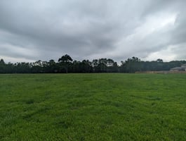 11724294