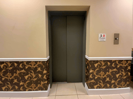 11749685