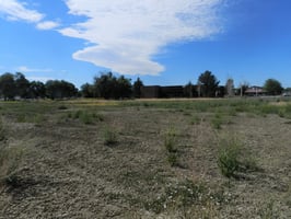 11779201