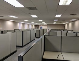 31425236