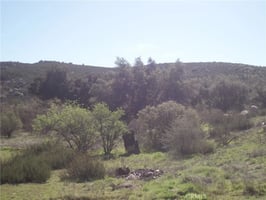 30907493