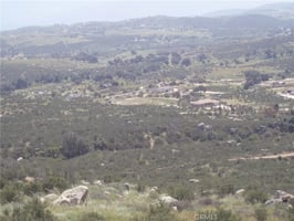 30223359