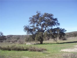 30938094
