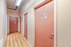 17336047