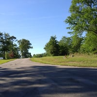 11906459