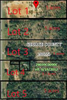 17646172