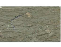 24949429