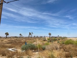 11992589