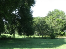 12010344