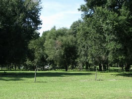 12010345