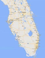 33532592