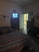 19602498