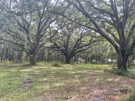22067015
