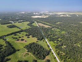 12293555