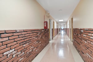 20524148