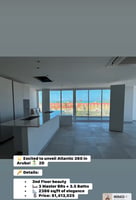 20508604