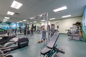 15570088