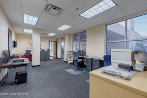 15570081