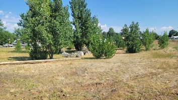 26719933