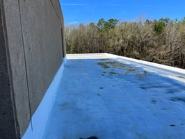 21547298