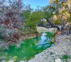 15336154