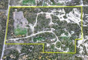 15336164
