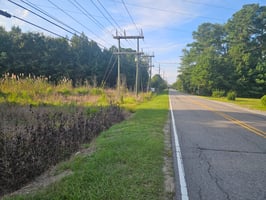 25469388