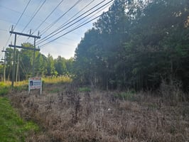 25469389