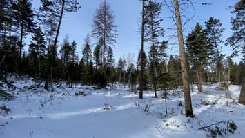 14676313