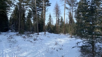 14676312