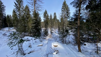 14676314