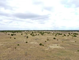 13546740