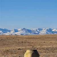 12694493