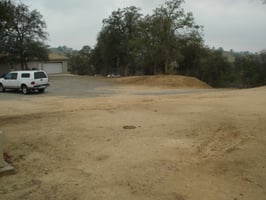13121921