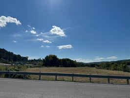 13163384